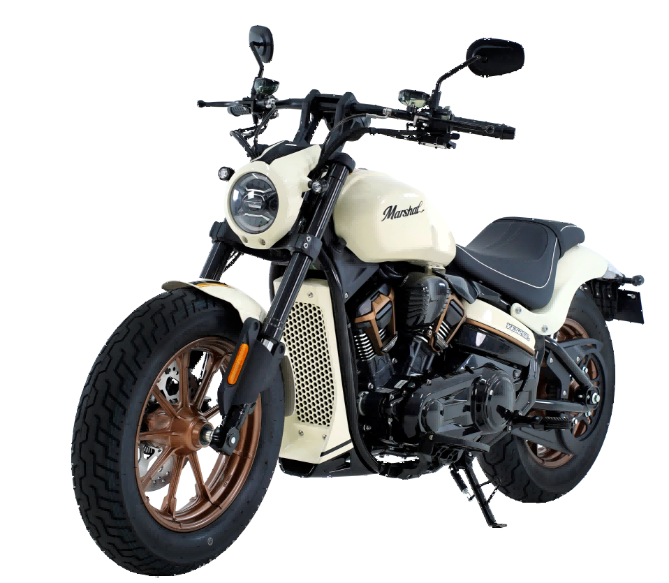 YES255 249.4cc Cruiser Motorcycle(AMT)